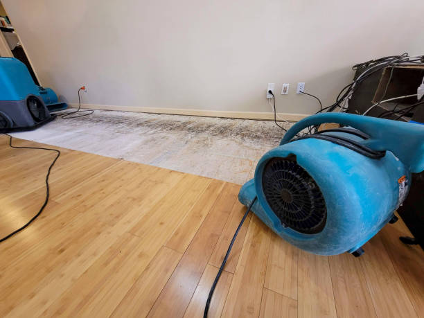Professional Flood Damage Cleanup technician working in Huntsville, AL